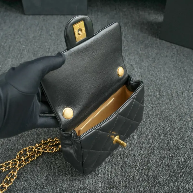 24s Double Pearl Trumpet CM 1 High Quality Bags - Image 13