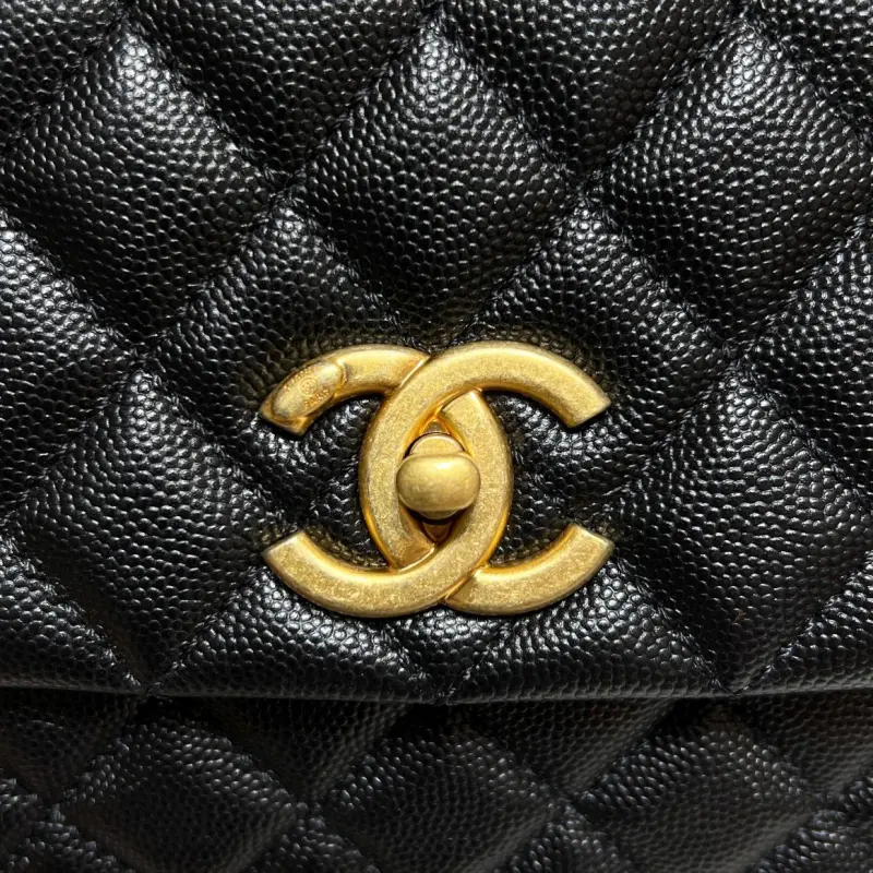 Middle Lizard Handle 29cm CM 5 High Quality Bags - Image 6