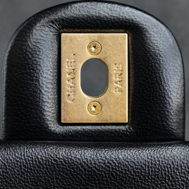 24s Double Pearl Trumpet CM 1 High Quality Bags - Image 10