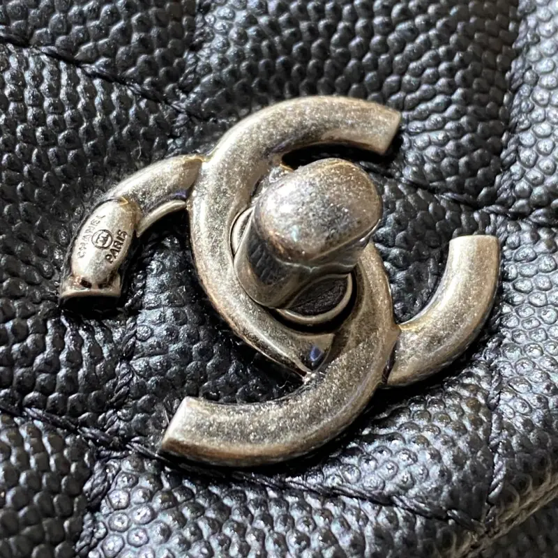 Small 24cm Lizard Handle CM 2 High Quality Bags - Image 5