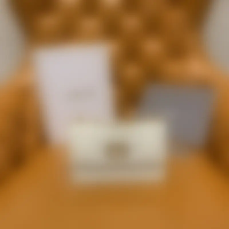 ML101 White High Quality Bags - Image 2