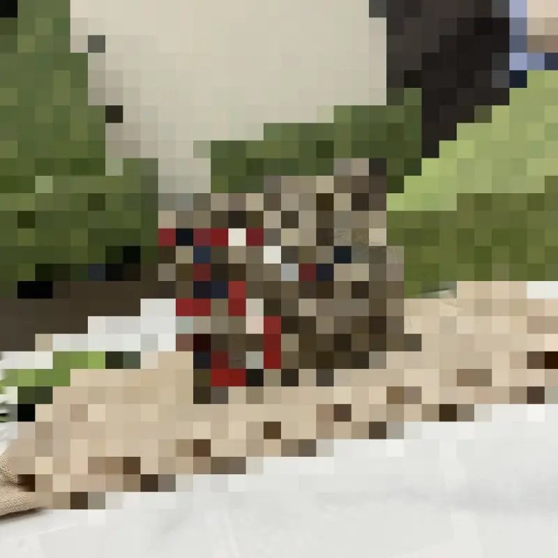 451268 CM 1 High-Quality Bags - Image 2