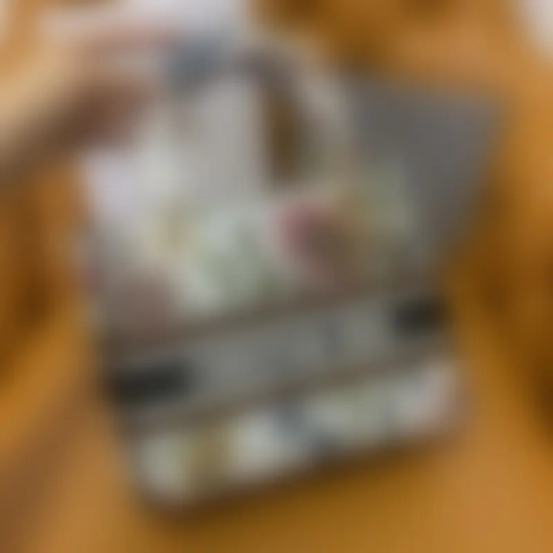 ML53 High Quality Bags - Image 2